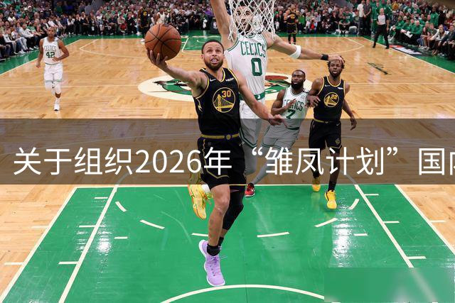 关于组织2026年“雏凤计划”国内选拔总营的通知